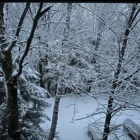 Vermont Getaway! Newly Renovated! Stratton Valley Esterno foto