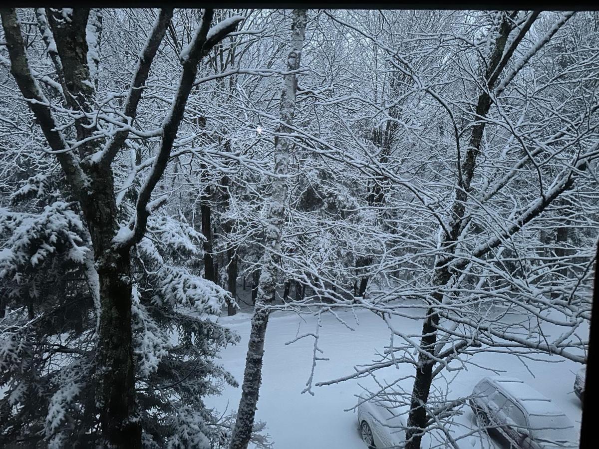 Holiday home Vermont Getaway! Newly Renovated! Stratton Valley
