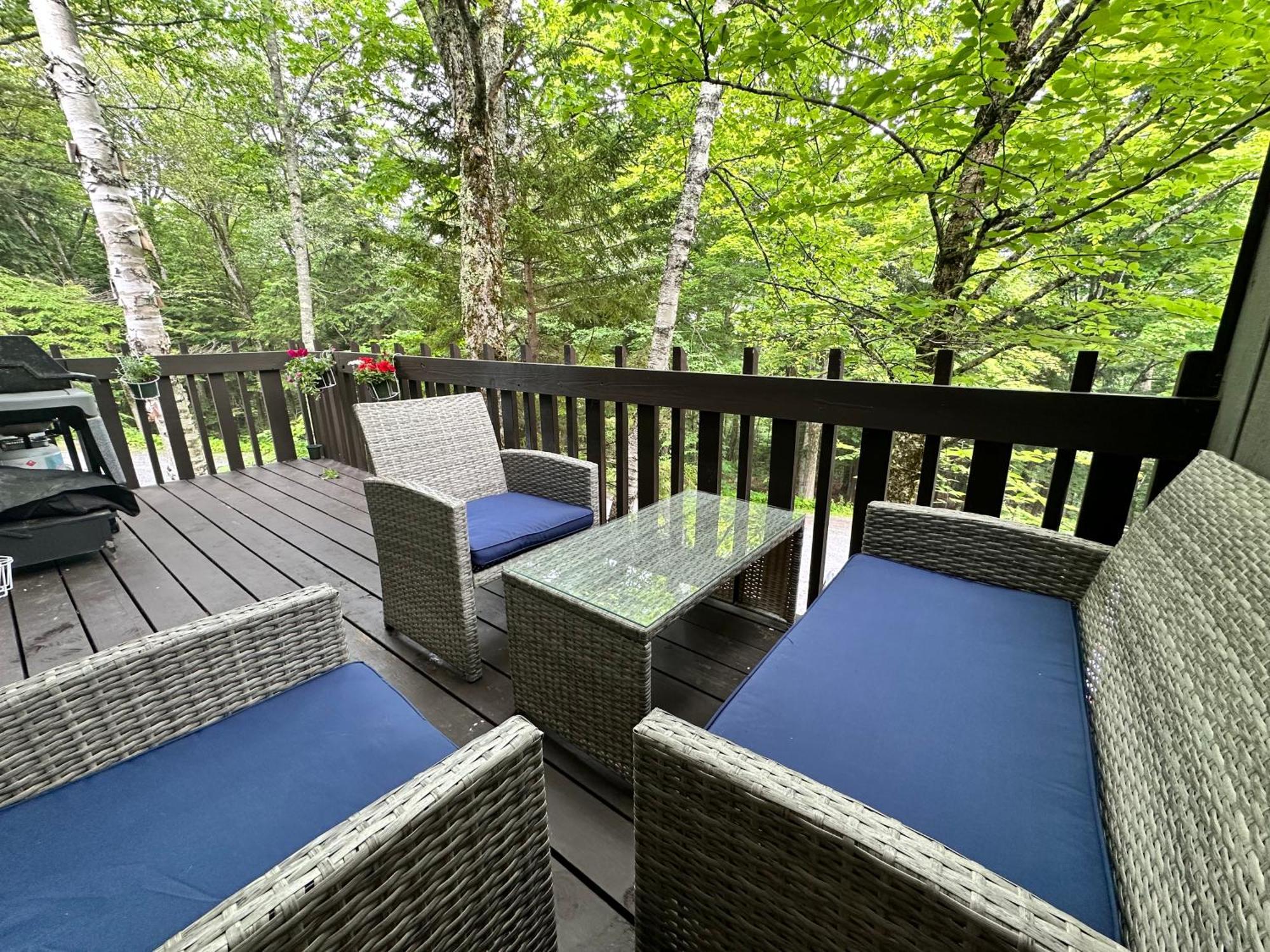 Vermont Getaway! Newly Renovated! * Stratton Valley